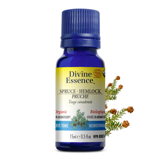 Divine essence - pruche bio - Gagné en Santé