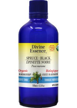 Divine essence - épinette noire bio