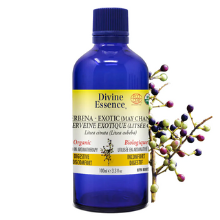 Divine essence - verveine exotique (litsée c.) bio - Gagné en Santé