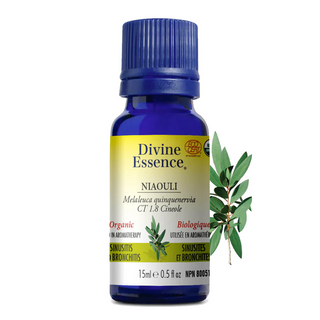 Divine essence - niaouli bio - Gagné en Santé