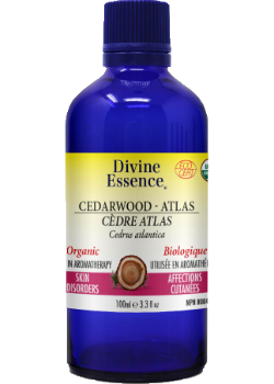 Divine essence - cèdre atlas bio