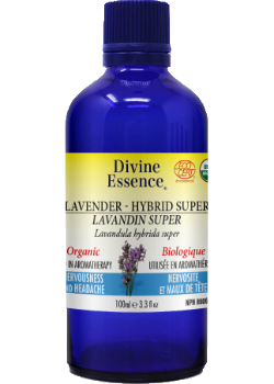 Divine essence - lavandin hybride super bio - Gagné en Santé