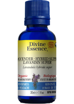 Divine essence - lavandin hybride super bio - Gagné en Santé