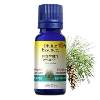 Divine essence - pin blanc bio