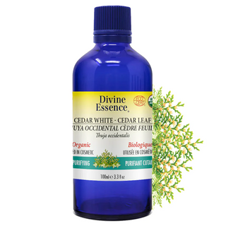 Divine essence - thuya occidental (feuille) bio - Gagné en Santé