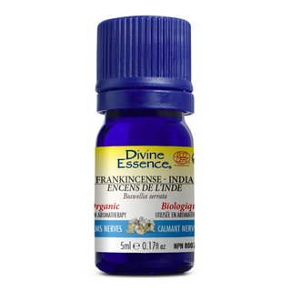 Divine essence - encens somalie (b. carterii) bio - 5 ml