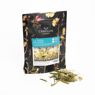 Camellia sinensis - tisane la taiga sauvage 20 g