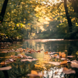 Relaxation, stress et anxiété