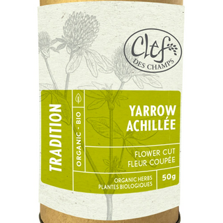 Clef des champs - achillée - fleur coupée (tube)  50 g