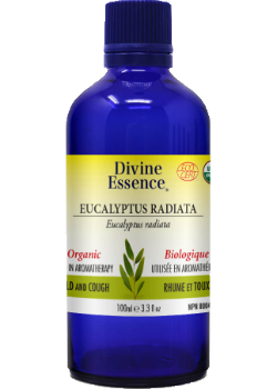 Divine essence - eucalyptus radiata bio